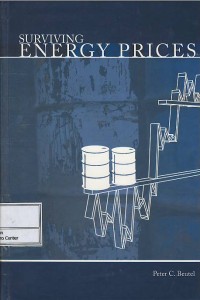 Image of Surviving energy prices