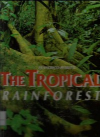 Image of The tropical rainforest