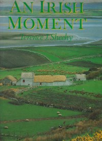 Image of An Irish moment