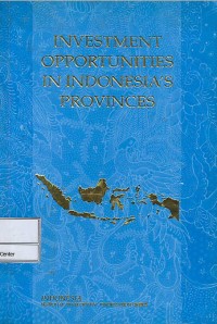 Image of Investment opportunities in Indonesia's provinces