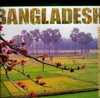 Image of Bangladesh : mosaic in green