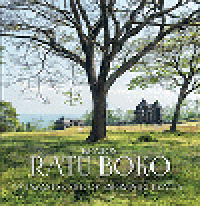 Image of Kraton Ratu Boko : a Javanese site of enigmatic beauty
